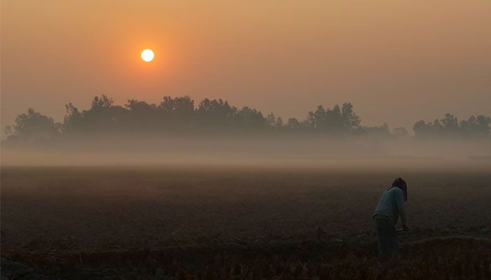 কুয়াশামাখা ভোর