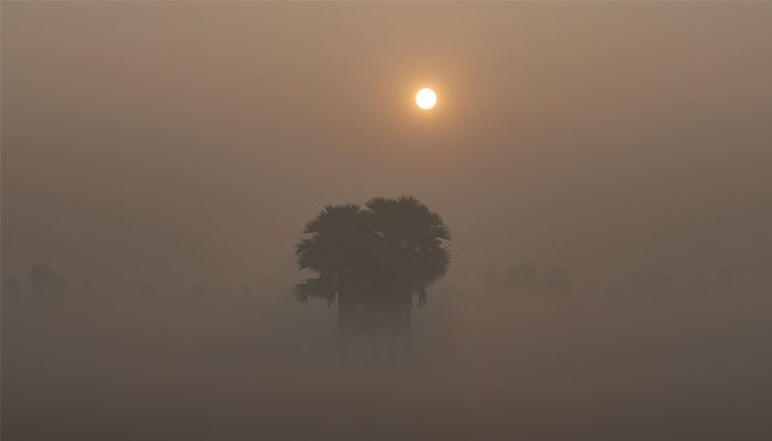 কুয়াশামাখা ভোর