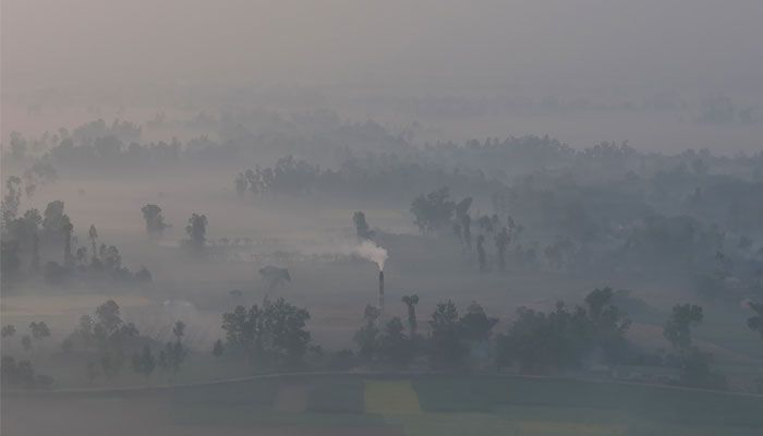 কুয়াশামাখা ভোর