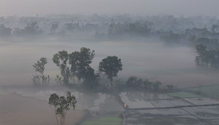 কুয়াশামাখা ভোর