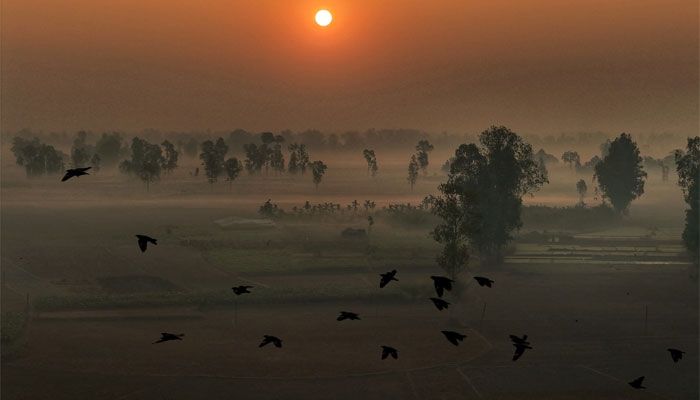কুয়াশামাখা ভোর