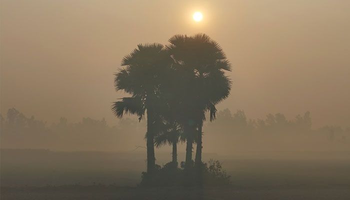 কুয়াশামাখা ভোর