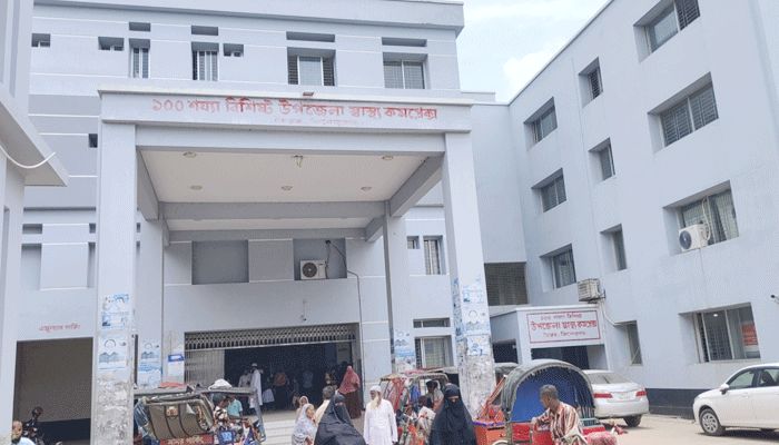 ভৈরবে পাগলা কুকুরের কামড়ে ১৭ জন আহত