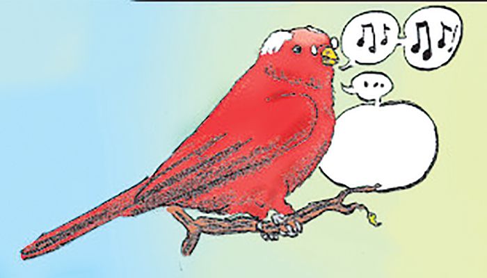 তোমরা সবাই কোথায়