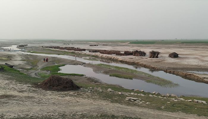 কুষ্টিয়ার দৌলতপুরে পদ্মা নদীর দুর্গম চরাঞ্চল। প্রবা ফটো