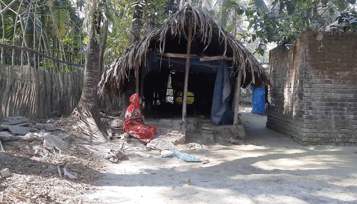 গরুশূন্য গোয়ালের দিকে তাকিয়ে আছেন শিল্পি রানী শিউলি। প্রবা ফটো