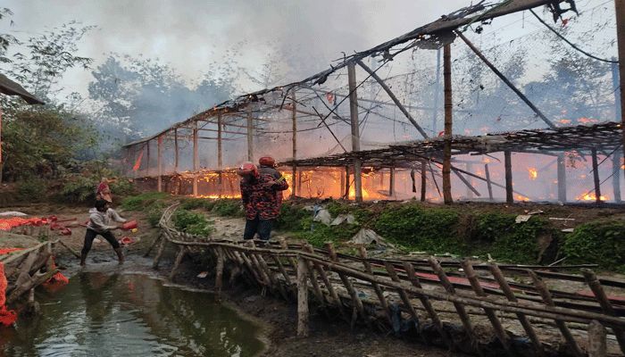 খানসামায় পোল্ট্রি খামারে আগুন, পুড়ল ৩ হাজার মুরগি