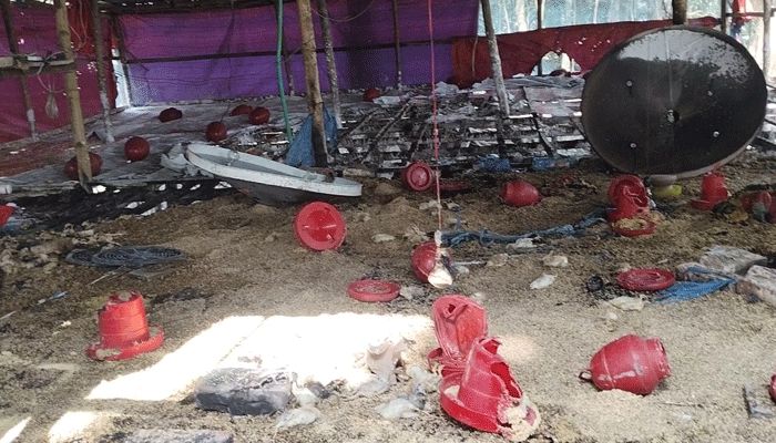 রামগঞ্জে পোলট্রি ফার্মে দুর্বৃত্তের আগুন, ৩ লাখ টাকার ক্ষতি