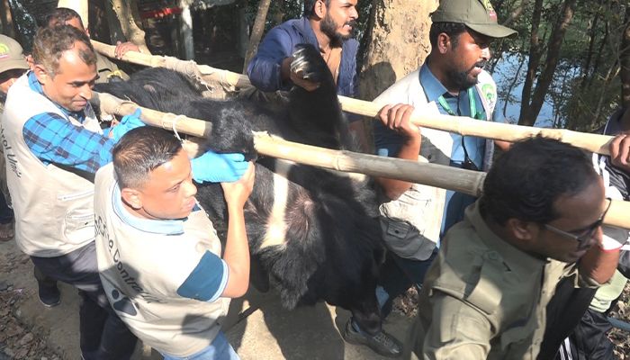 মিনি চিড়িয়াখানা থেকে ভালুকসহ ১৭ বন্য প্রাণী উদ্ধার 