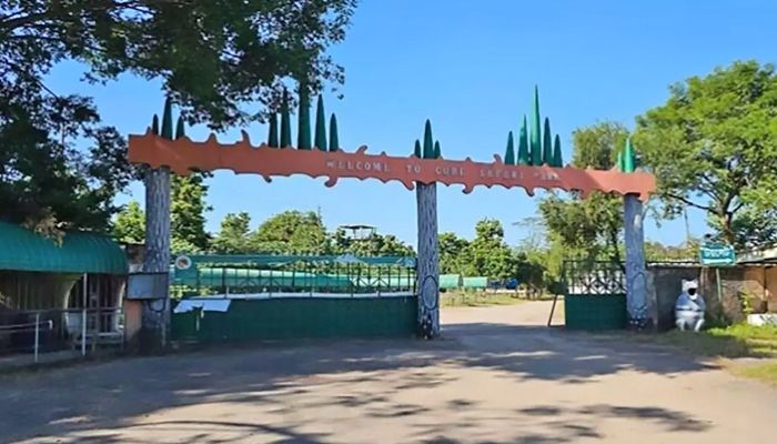 দুর্নীতি অনিয়মে জৌলুস হারাচ্ছে সাফারি পার্ক