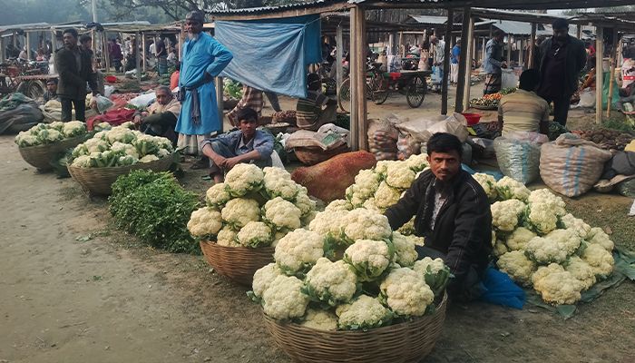 ‘মইরা গেছি গা বাপু, আংগর চালান ওঠে না’