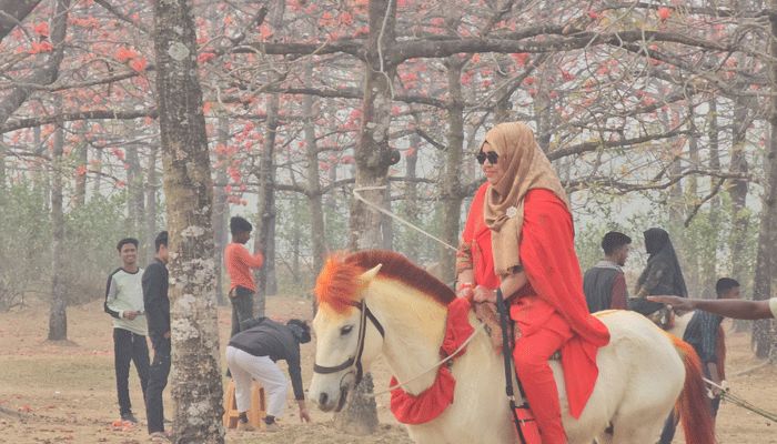 দেশের বৃহৎ শিমুলবাগানে রক্ত লালের নাচন