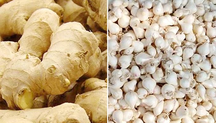 চাহিদার সঙ্গে বাড়ছে আদা রসুনের দাম