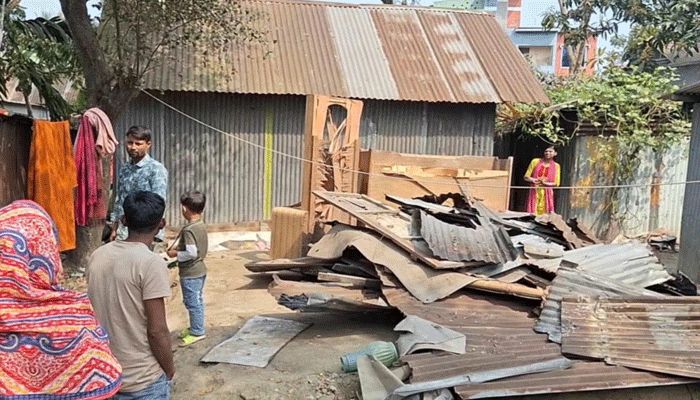 ভ্যানচালকের বসতবাড়ি ভাঙচুর-লুটপাট, গৃহবধূকে নির্যাতন