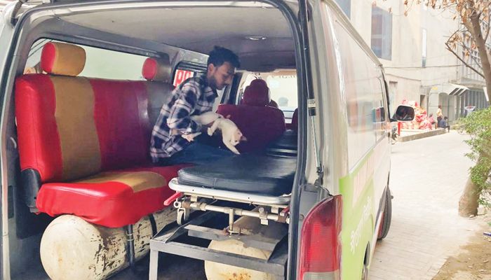 প্রাণীদের জীবন বাঁচাবে ‘সুস্থতা’