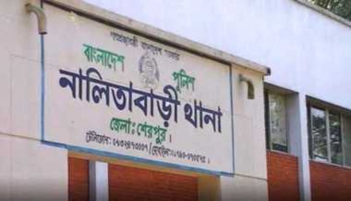 পুত্রবধূর আত্মহত্যা প্ররোচনা মামলায় শাশুড়ি গ্রেপ্তার