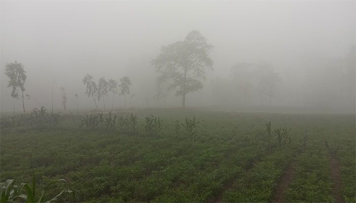 চৈত্রের মাঝামাঝি হঠাৎ ঘন কুয়াশায় ঢাকা পঞ্চগড়ের পথঘাট