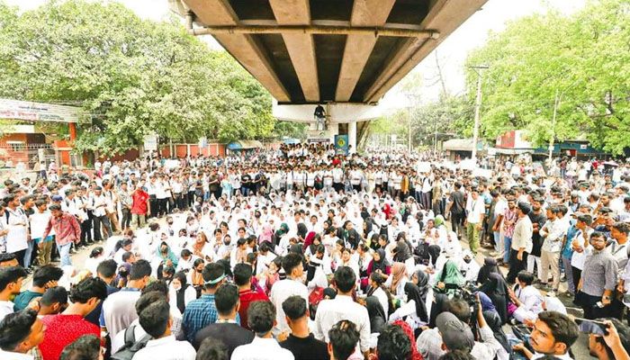 ছবি : আলী হোসেন মিন্টু