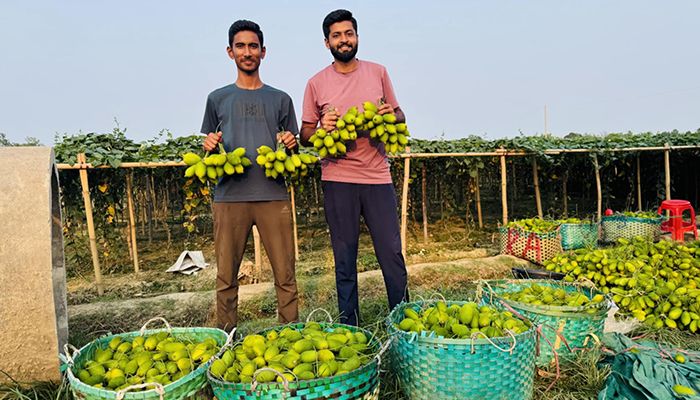 দুর্গম এলাকায় গড়ে তুলেছে ‘রুপাই ভ্যালি’