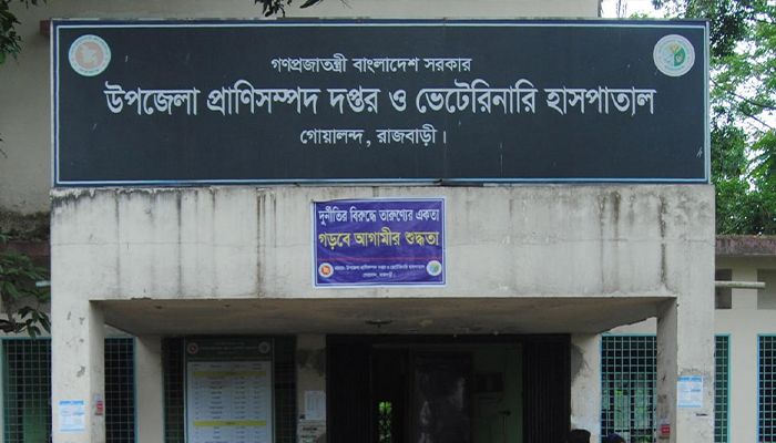 লাম্পি আতঙ্কে কৃষক