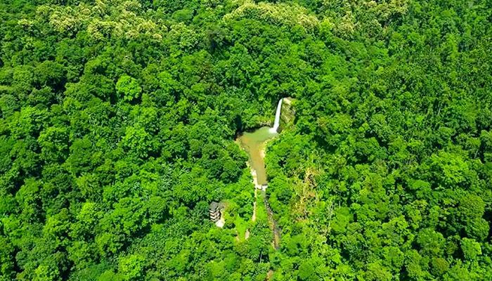 প্রাকৃতিক সৌন্দর্যের আধার পাথারিয়া হিলস
