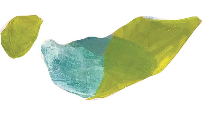 সংশয়