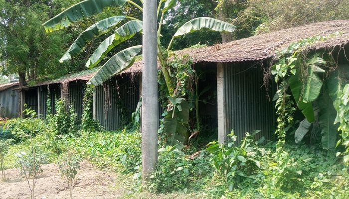 প্রায় দুই যুগ পার হলেও সংস্কারের উদ্যোগ নেই
