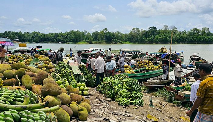 কাপ্তাইয়ের জেটিঘাট বাজারে মৌসুমি ফলের সমাহার