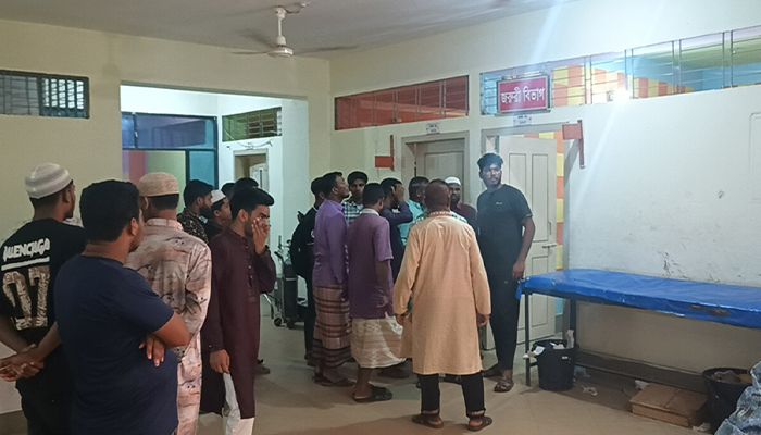জমির আইল ভাঙা নিয়ে ভাতিজার কোপে চাচা খুন