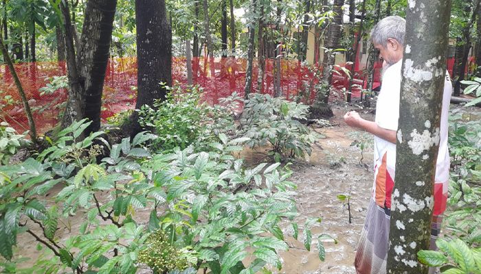রামগতিতে অবসরপ্রাপ্ত কর্মকর্তার জমি বেদখল 