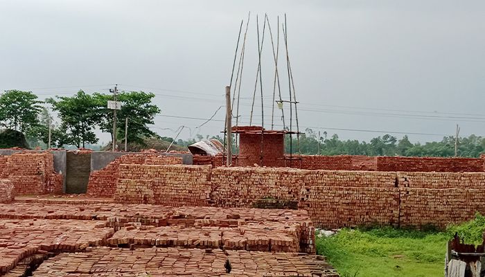 ধানক্ষেত নষ্ট করা ইটভাটা ফের চালুর চেষ্টা কৃষকদের ক্ষোভ