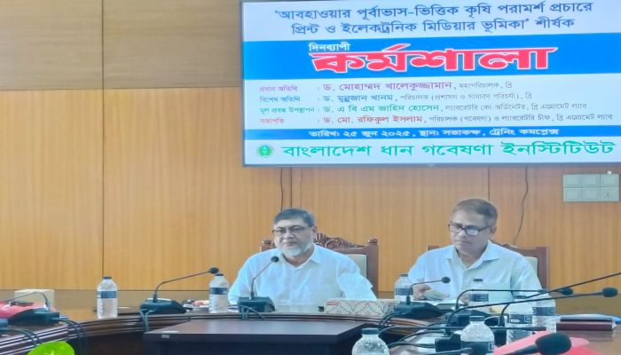 ধান চাষিদের সমস্যা সমাধানে হেল্পলাইন চালু