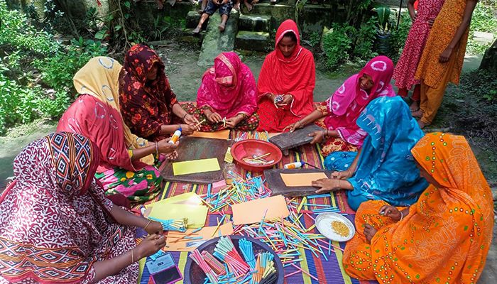 কাগজের কলম থেকে উদ্ভিদের চারা