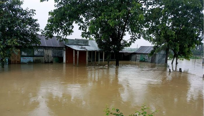 আকস্মিক বন্যায় আখাউড়ার ১৯ গ্রাম প্লাবিত