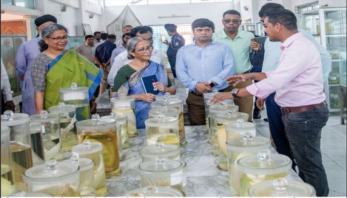 ছোট মাছের বিলুপ্তি ঠেকাতে বিএফআরআইকে সচেষ্টতার নির্দেশ