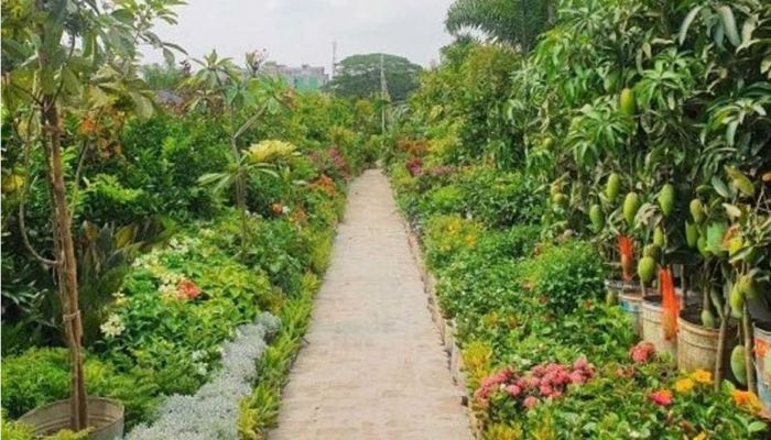 পরিবেশ ও বৃক্ষমেলা শুরু আজ