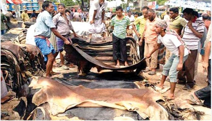লবণ সরবরাহে অব্যবস্থাপনা, চামড়া সংরক্ষণ নিয়ে শঙ্কা