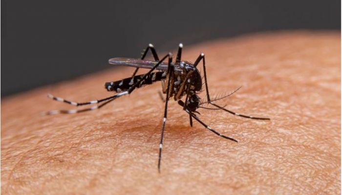  সারাদেশে একদিনে ডেঙ্গুতে ২৬ জন হাসপাতালে ভর্তি