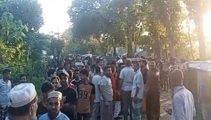 বড়লেখায় ‘চোরাই’ সন্দেহে ১১টি মহিষ জব্দ