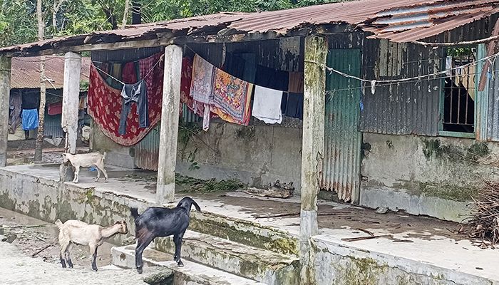 কুঠিবাড়ী আশ্রয়ণ প্রকল্পের বাসিন্দাদের দুর্বিষহ জীবন 