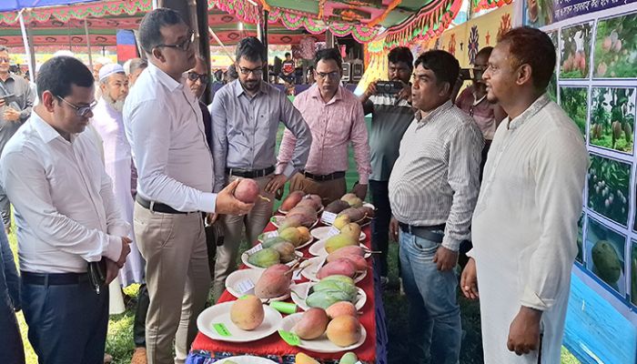 নওগাঁয় দুই দিনব্যাপী ম্যাংগো ফেস্টিভ্যাল
