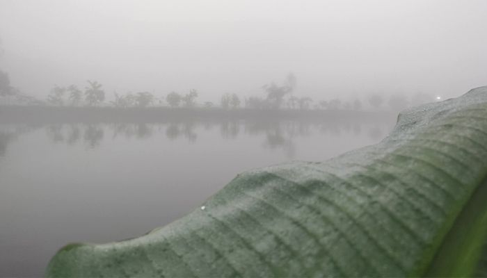 তীব্র গরমে পঞ্চগড়ে দেখা মিলল ঘন কুয়াশার