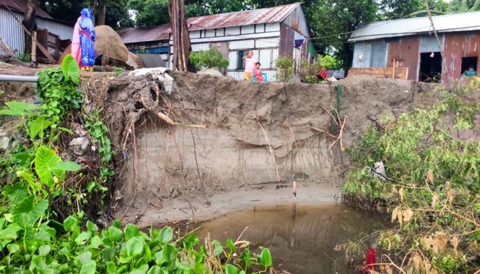 তিতাস নদীর তীব্র ভাঙনে বিপর্যস্ত অর্ধশতাধিক পরিবার