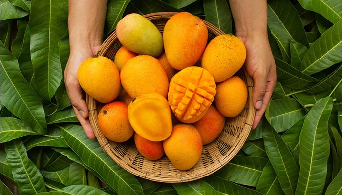 সারা বছর যেভাবে আম সংরক্ষণ করবেন 