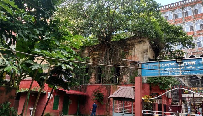 দেড় শতাব্দীরও বেশি প্রাচীন পাঠাগার ভবনটি আঁকড়ে রেখেছে একটি পাকুড় বৃক্ষ । প্রবা ফটো