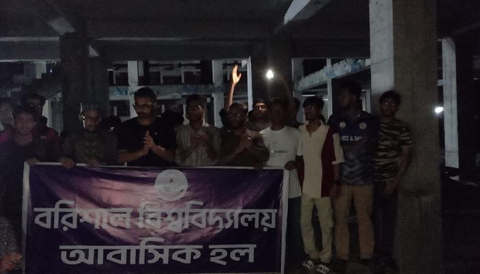 নভোথিয়েটার ও বিটাক ভবন ববি শিক্ষার্থীদের ‘দখলে’