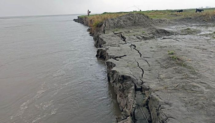 বগুড়ায় ভয়াবহ ভাঙন, বিলীন হচ্ছে চাষের জমি