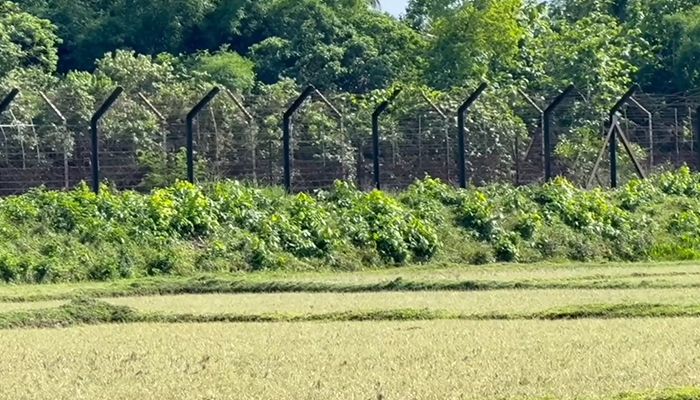 পরশুরাম সীমান্তে বৃদ্ধকে ধরে নিয়ে গেছে বিএসএফ