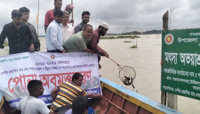 প্রবা ফটো।