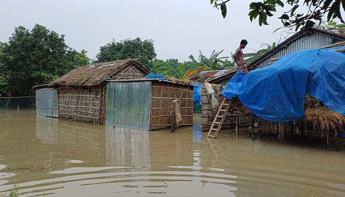 তীব্র স্রোতে তিস্তা সেতু রক্ষা বাঁধে ধস, পানিবন্দিদের স্বাস্থ্যঝুঁকির আশঙ্কা 